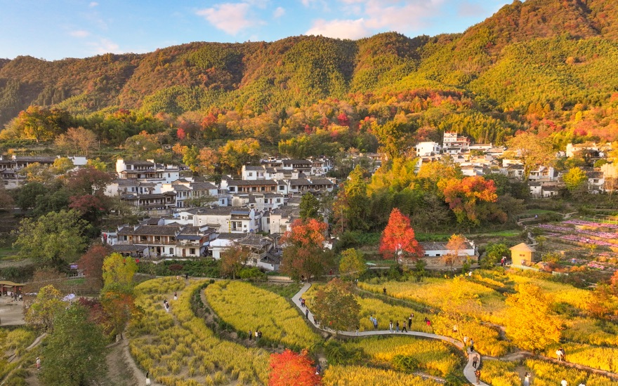 塔川秋色